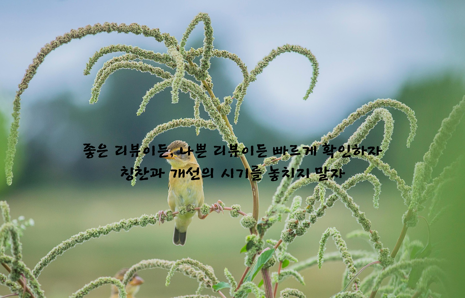고객리뷰 빠르게 확인하자.png