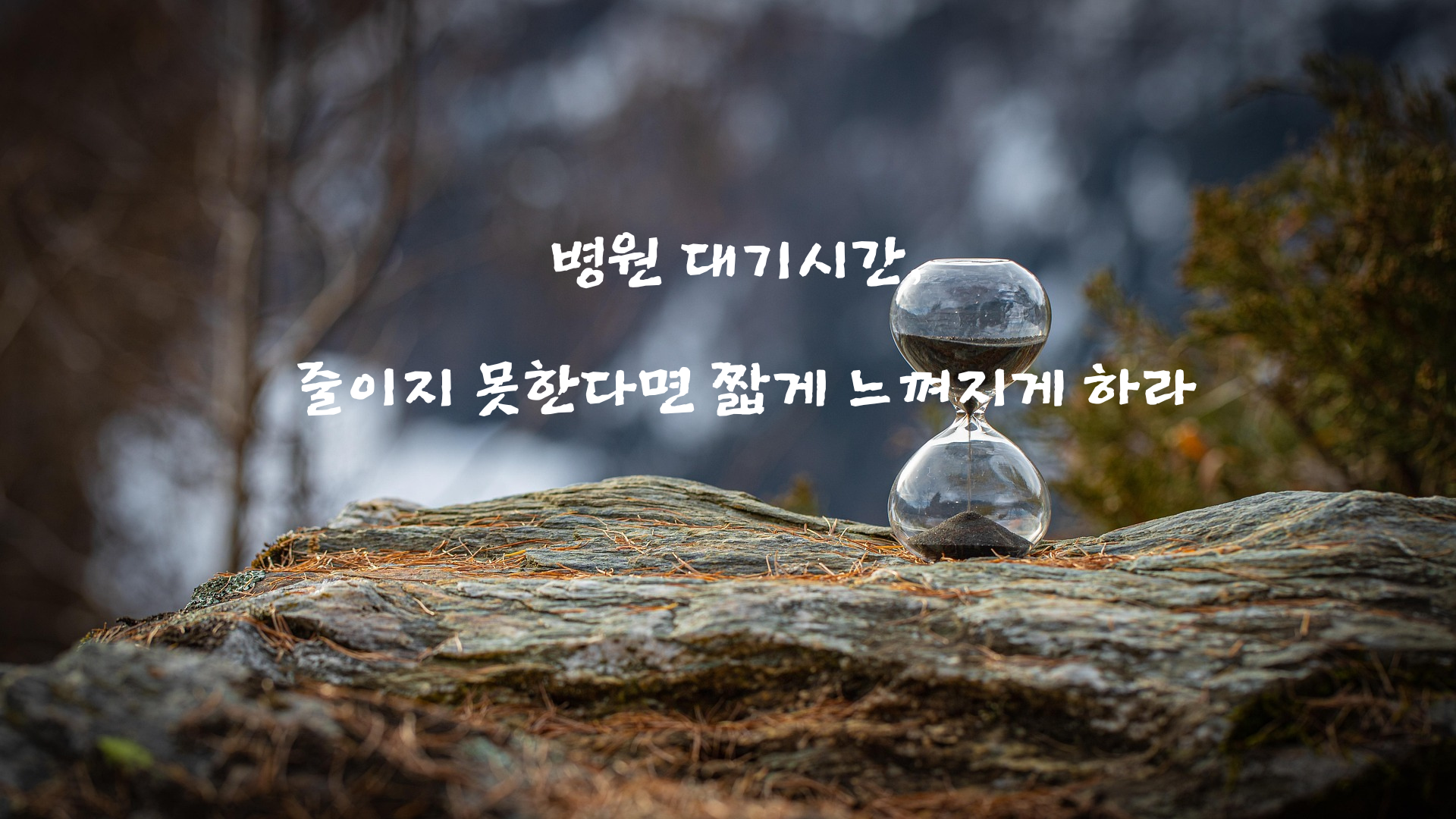병원대기시간줄이기1.png