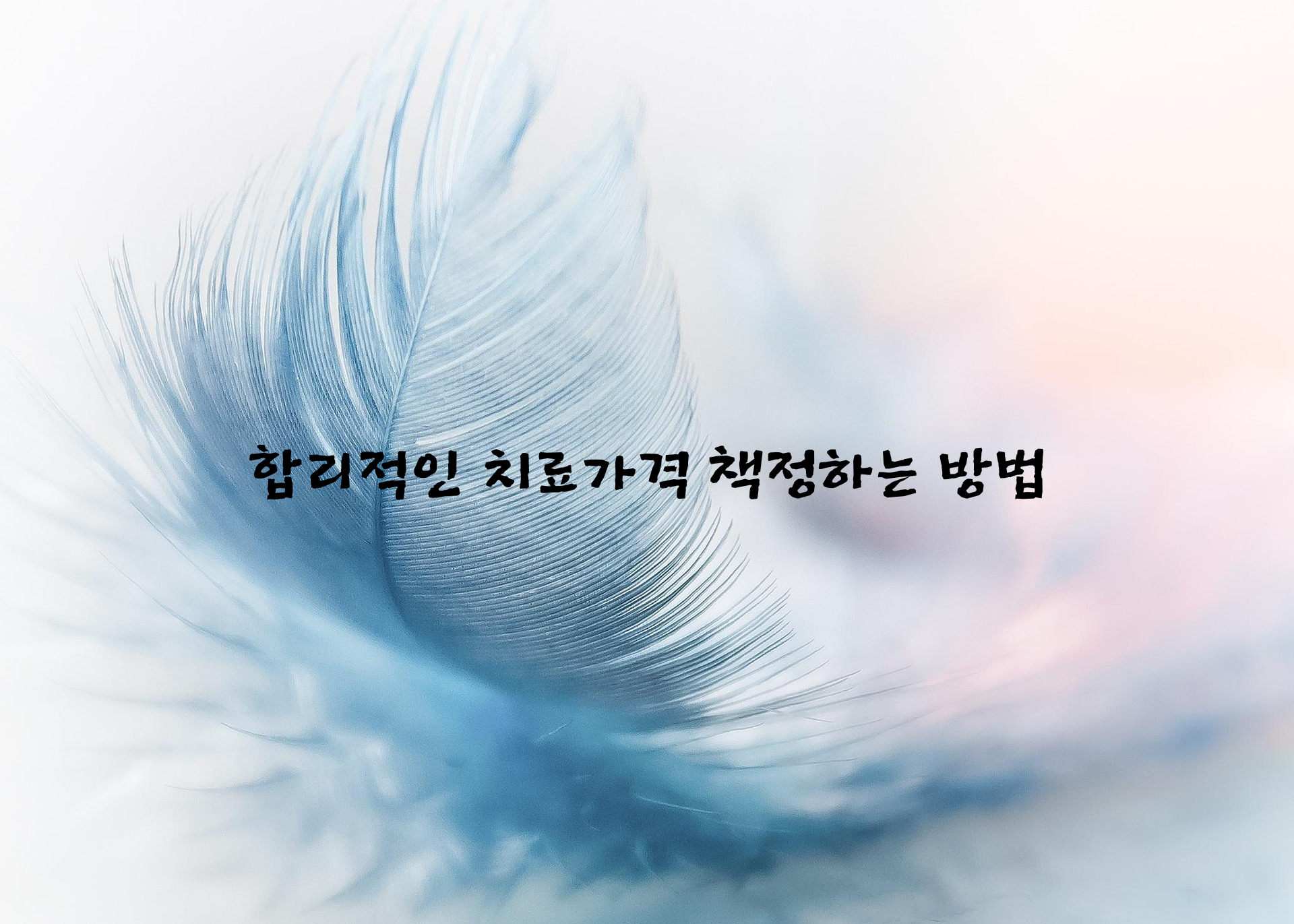 치료가격책정방법1.png