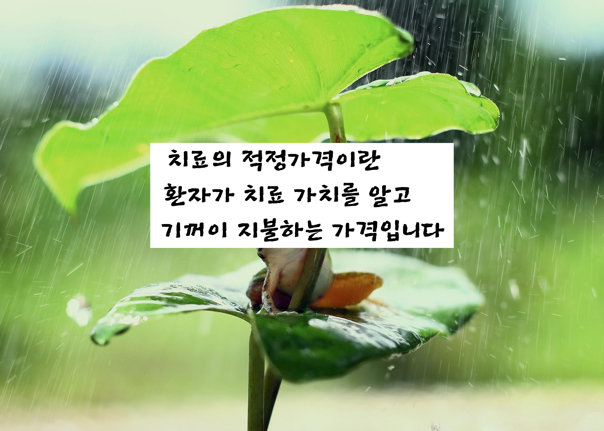 치료적정가격이란.png