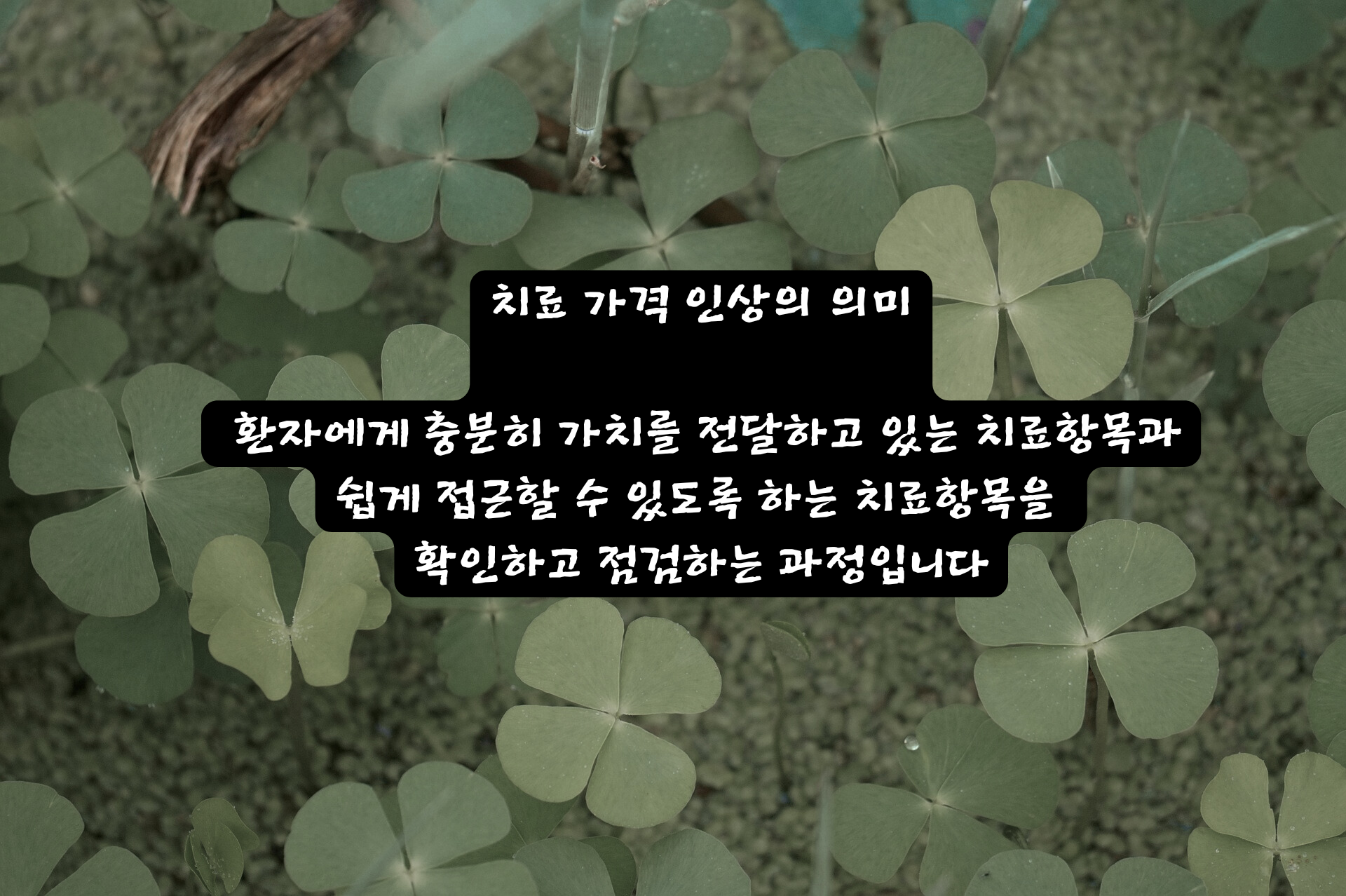 치료가격인상의의미.png