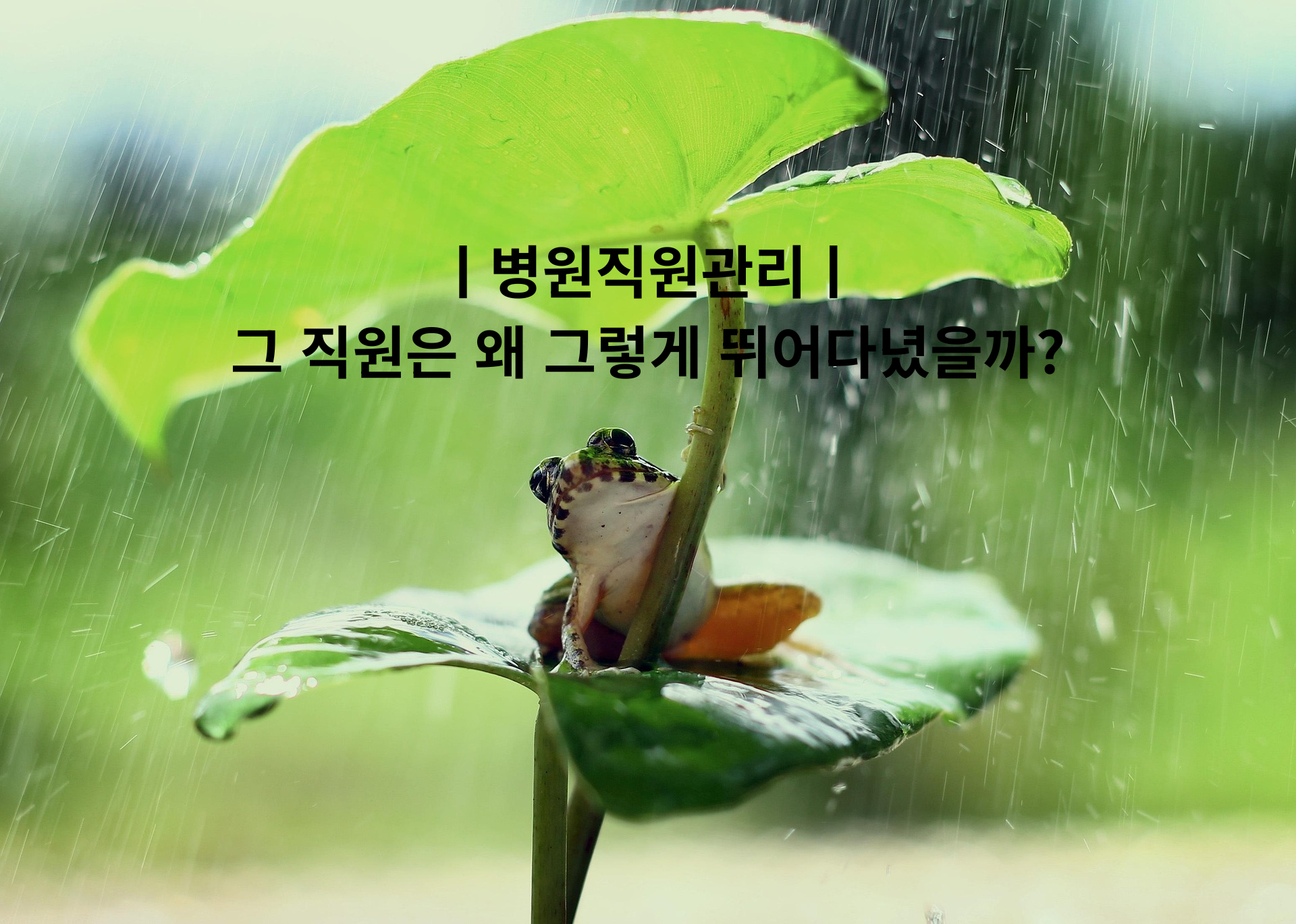 ㅣ병원직원관리ㅣ 그 직원은 왜 그렇게 뛰어다녔을까.png